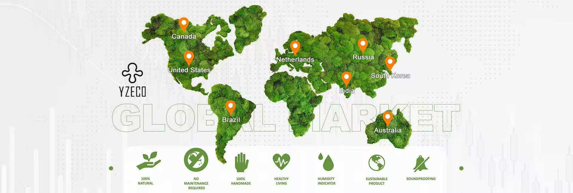 kwaliteit Natuurlijk bewaard mos fabriek