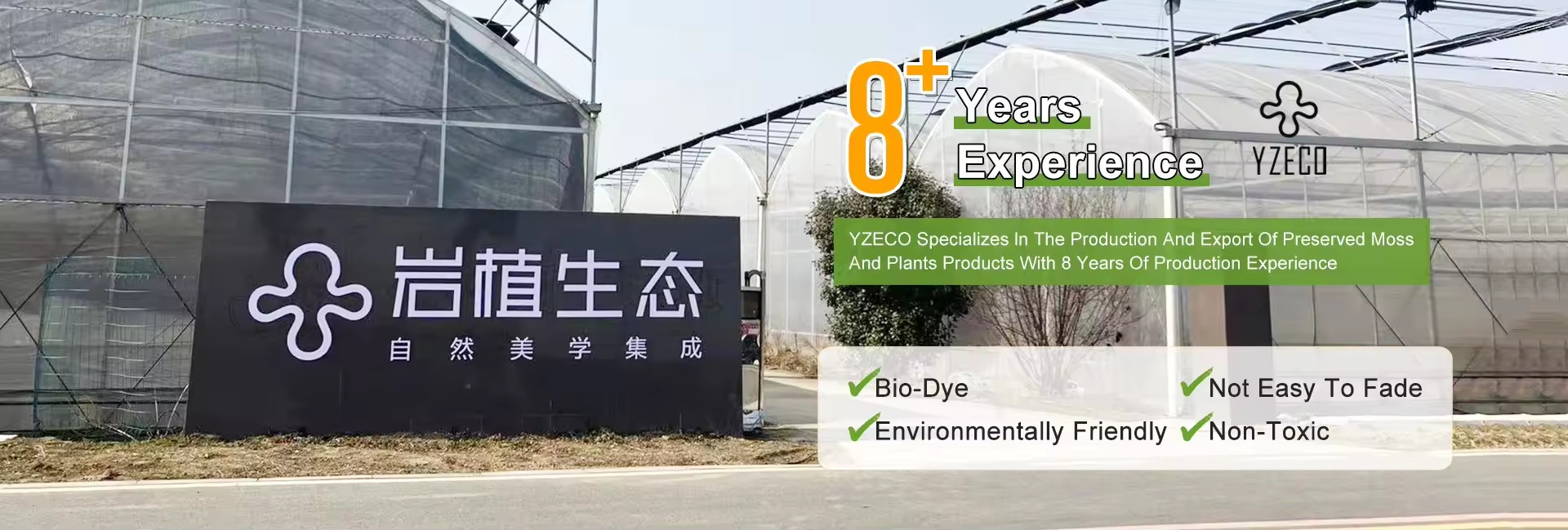 kwaliteit Natuurlijk bewaard mos fabriek