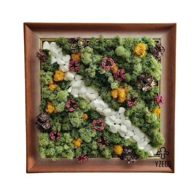 quality Echt bewaard gebleven mos wand art frame voor tuin decor Geen onderhoud en natuurlijke schoonheid factory